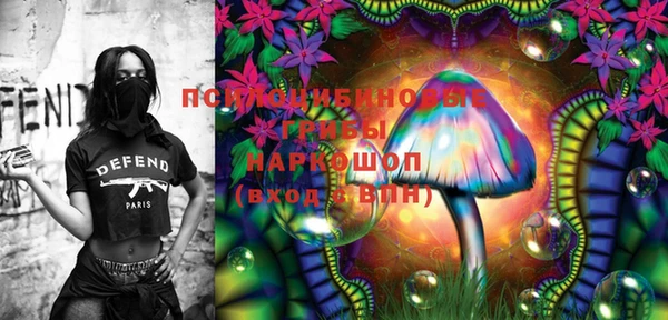 крисы Гусь-Хрустальный