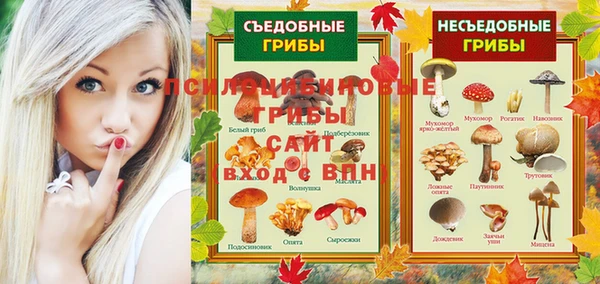 ешки Гусиноозёрск